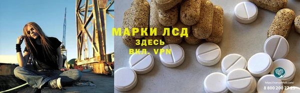 spice Беломорск
