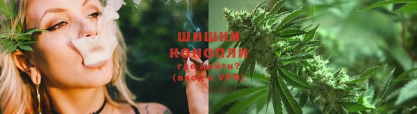 стаф Белокуриха