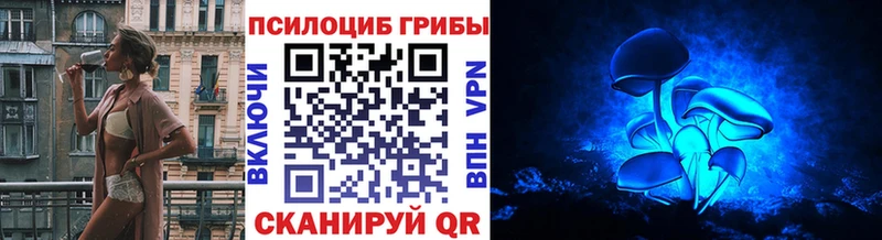 наркошоп Калуга Псилоцибиновые грибы Psilocybe