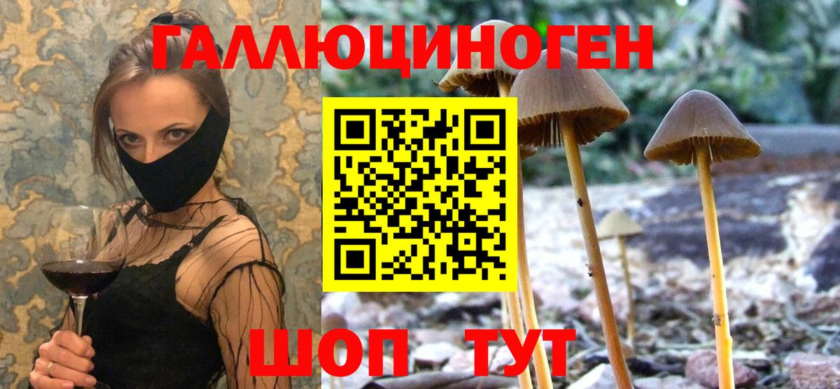 ГАШ Калуга